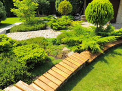 landscaping